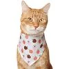 Frisco Apple Dog & Cat Bandana 2 Frisco Apple Dog & Cat Bandana -Cat Pet Supplies 353786 MAIN. AC SS1800 V1659011013