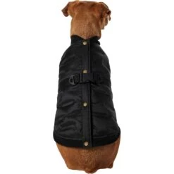 Frisco Lightweight Belted Puffer Dog & Cat Jacket 11 Frisco Lightweight Belted Puffer Dog & Cat Jacket -Cat Pet Supplies 353825 PT2. AC SS1800 V1659010815