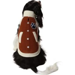 Frisco Lightweight Varsity Dog & Cat Jacket -Cat Pet Supplies 353861 PT2. AC SS1800 V1659010873