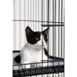 Prevue Pet Products Cat Cage Replacement Shelf 14 Prevue Pet Products Cat Cage Replacement Shelf -Cat Pet Supplies 354652 PT3. AC SS1800 V1662065985