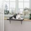 Coziwow Wall-mounted Cat Window Perch