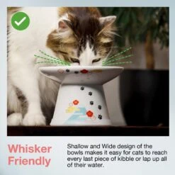 Necoichi Extra Wide Raised Cat Food Bowl -Cat Pet Supplies 357119 PT2. AC SS1800 V1657657126