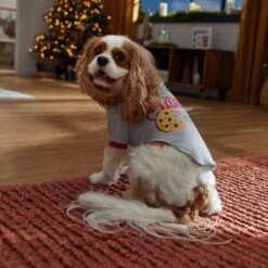 Frisco I Ate Santa's Cookies Dog & Cat T-Shirt -Cat Pet Supplies 358293 PT7. AC SS1800 V1661800345