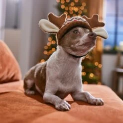 Frisco Antler Fair Isle Dog & Cat Hat 12 Frisco Antler Fair Isle Dog & Cat Hat -Cat Pet Supplies 358313 PT4. AC SS1800 V1661798696