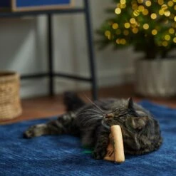 Frisco Holiday Santa's List Plush & Feather Cat Toy With Catnip -Cat Pet Supplies 360895 PT3. AC SS1800 V1661874361