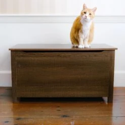 Designer Pet Products Parker Designer Wood Catbox Furniture Litter Box Enclosure, 36-in 16 Designer Pet Products Parker Designer Wood Catbox Furniture Litter Box Enclosure, 36-in -Cat Pet Supplies 362058 PT5. AC SS1800 V1643214398