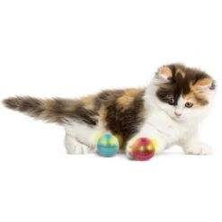 SmartyKat Flicker Balls Electronic Light Ball Cat Toy, Multicolor, Small, 2 Count -Cat Pet Supplies 362928 PT3. AC SS1800 V1642646213