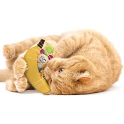 SmartyKat Playful Peeker Mouse & Banana Cat Toy, Yellow, Medium, 2 Count 10 SmartyKat Playful Peeker Mouse & Banana Cat Toy, Yellow, Medium, 2 Count -Cat Pet Supplies 362938 PT3. AC SS1800 V1642641740
