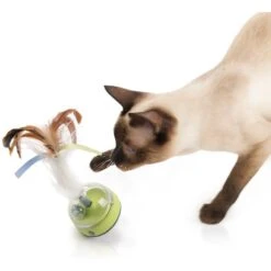 SmartyKat Silly Spinner Electronic Motion & Light Cat Toy, Blue, Large 13 SmartyKat Silly Spinner Electronic Motion & Light Cat Toy, Blue, Large -Cat Pet Supplies 362940 PT4. AC SS1800 V1642651930