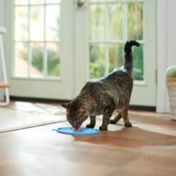 Frisco Non-skid Flower Silicone Dog & Cat Lick Mat, Blue -Cat Pet Supplies 363393 PT3. AC SS1800 V1660750521