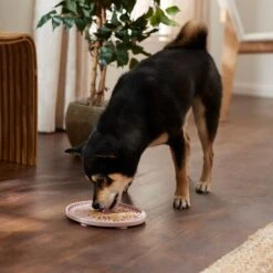 Frisco Silicone Dog & Cat Lick Mat With Suction Cups, Pink -Cat Pet Supplies 363395 PT2. AC SS1800 V1660750521