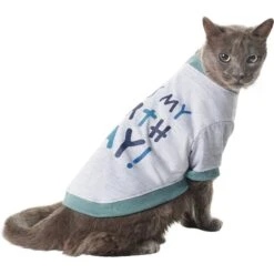 Frisco It's My Birth Day Dog & Cat T-Shirt 11 Frisco It's My Birth Day Dog & Cat T-Shirt -Cat Pet Supplies 368808 PT2. AC SS1800 V1669100848