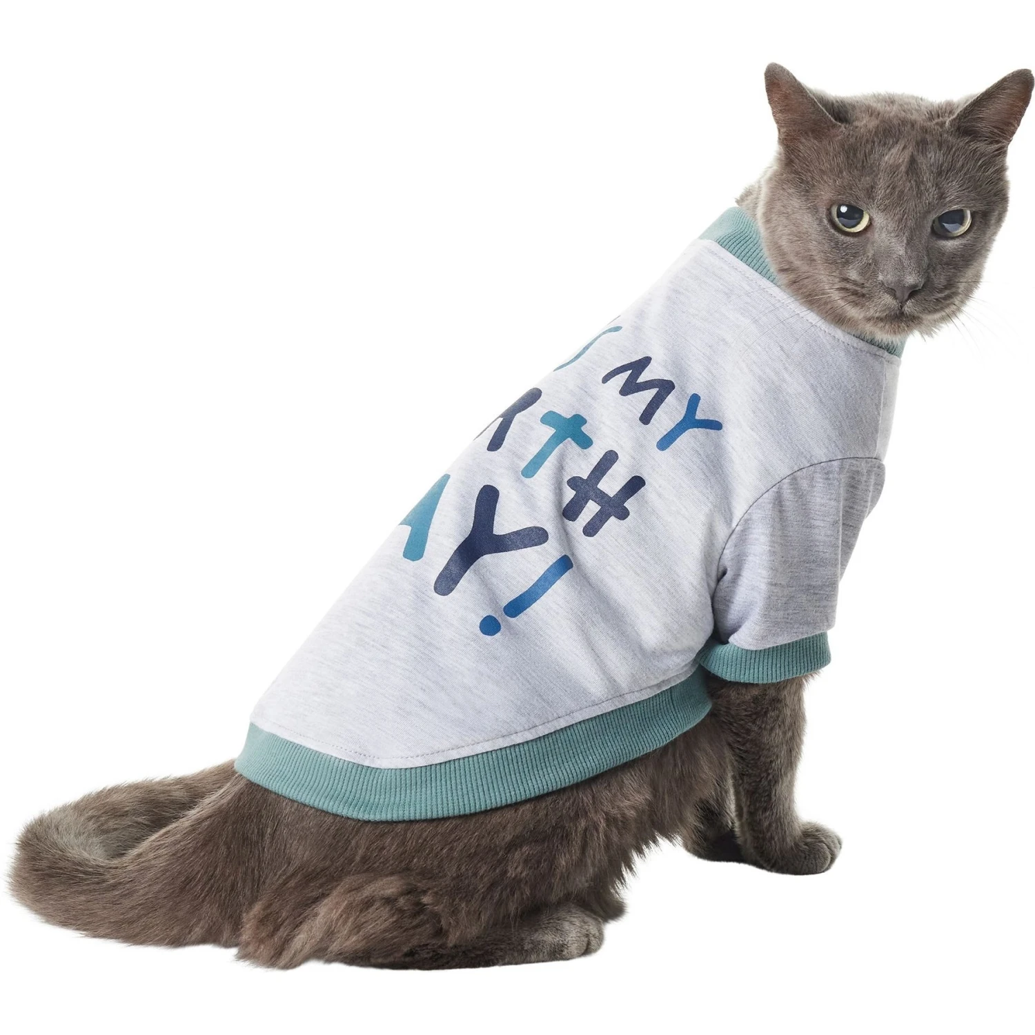 Frisco It's My Birth Day Dog & Cat T-Shirt 5 Frisco It's My Birth Day Dog & Cat T-Shirt - Image 3