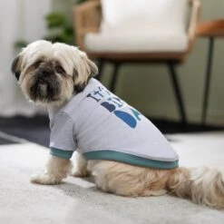 Frisco It's My Birth Day Dog & Cat T-Shirt 14 Frisco It's My Birth Day Dog & Cat T-Shirt -Cat Pet Supplies 368808 PT7. AC SS1800 V1664992107