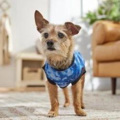 Frisco Tie-Dye Dog & Cat T-Shirt 14 Frisco Tie-Dye Dog & Cat T-Shirt -Cat Pet Supplies 368816 PT7. AC SS1800 V1664994331