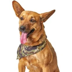 Boulevard Personalized Remy Camo Dog Bandana 13 Boulevard Personalized Remy Camo Dog Bandana -Cat Pet Supplies 370165 PT6. AC SS1800 V1649376226