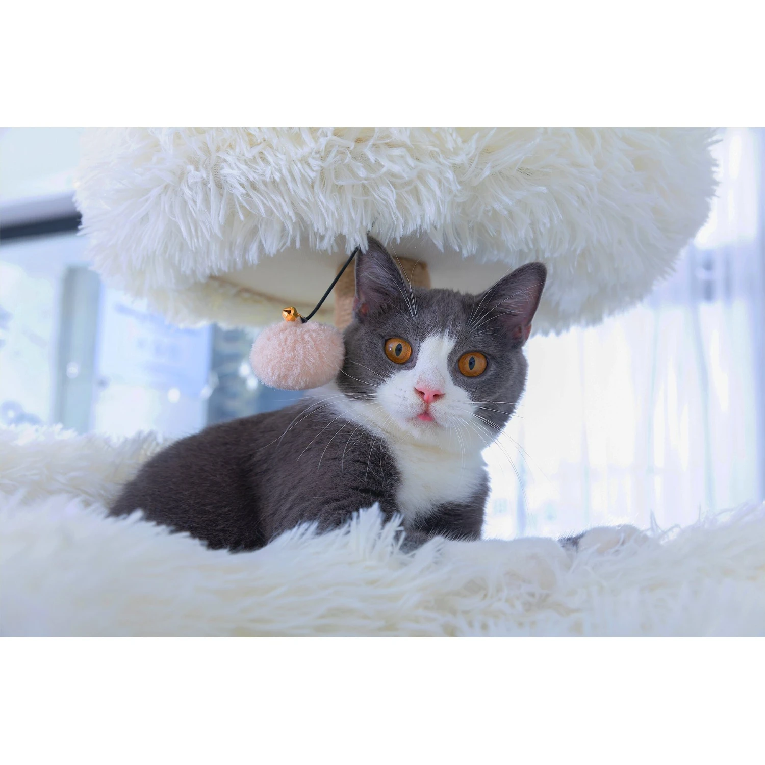 Catry 75-in Scratching Posts Condo Cat Tree, Beige 11 Catry 75-in Scratching Posts Condo Cat Tree, Beige - Image 9