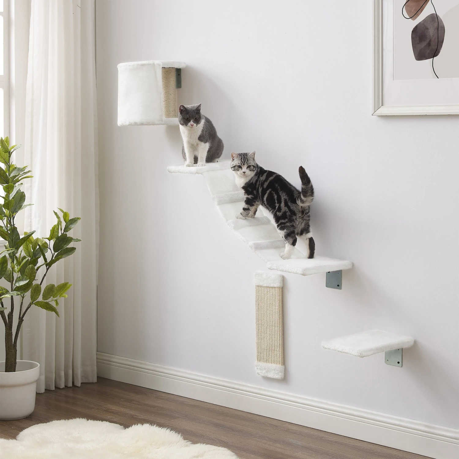 Sam's Pets Addison Wall Climber Cat Tree 3 Sam's Pets Addison Wall Climber Cat Tree
