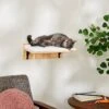 Frisco Cushioned Wall Mounted Cat Wall Shelf -Cat Pet Supplies 373443 MAIN. AC SS1800 V1673025637