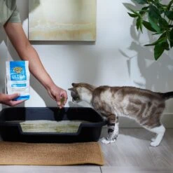 Dr. Elsey's Precious Cat Ultra Litter Attractant 9 Dr. Elsey's Precious Cat Ultra Litter Attractant -Cat Pet Supplies 47187 PT4. AC SS1800 V1680789681