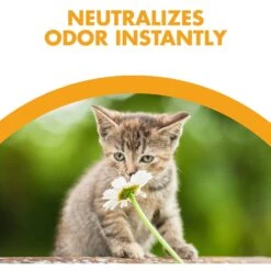 Feline Pine Original Non-Clumping Wood Cat Litter 14 Feline Pine Original Non-Clumping Wood Cat Litter -Cat Pet Supplies 47407 PT3. AC SS1800 V1663797194