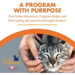 Feline Pine Original Non-Clumping Wood Cat Litter 19 Feline Pine Original Non-Clumping Wood Cat Litter -Cat Pet Supplies 47407 PT8. AC SS1800 V1663797230