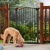 Frisco Outdoor Steel Arch Extra Tall Auto-Close Dog Gate -Cat Pet Supplies 507102 MAIN. AC SS1800 V1668736255