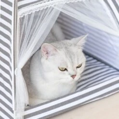 Lovely Caves Stripe Dog & Cat Tent, Gray, Medium 9 Lovely Caves Stripe Dog & Cat Tent, Gray, Medium -Cat Pet Supplies 525774 PT3. AC SS1800 V1658191420