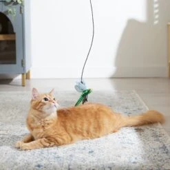 Frisco Leaf & Dragonfly Interchangeable Teaser Wand Cat Toy With Catnip -Cat Pet Supplies 525982 PT3. AC SS1800 V1669148131