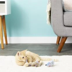 KONG Refillable Frosty Mice Catnip Cat Toy -Cat Pet Supplies 53520 PT3. AC SS1800 V1545170282