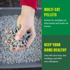 Fresh News Non-Clumping Scented Paper Cat Litter, 25-lb Bag 14 Fresh News Non-Clumping Scented Paper Cat Litter, 25-lb Bag -Cat Pet Supplies 539206 PT3. AC SS1800 V1667517974