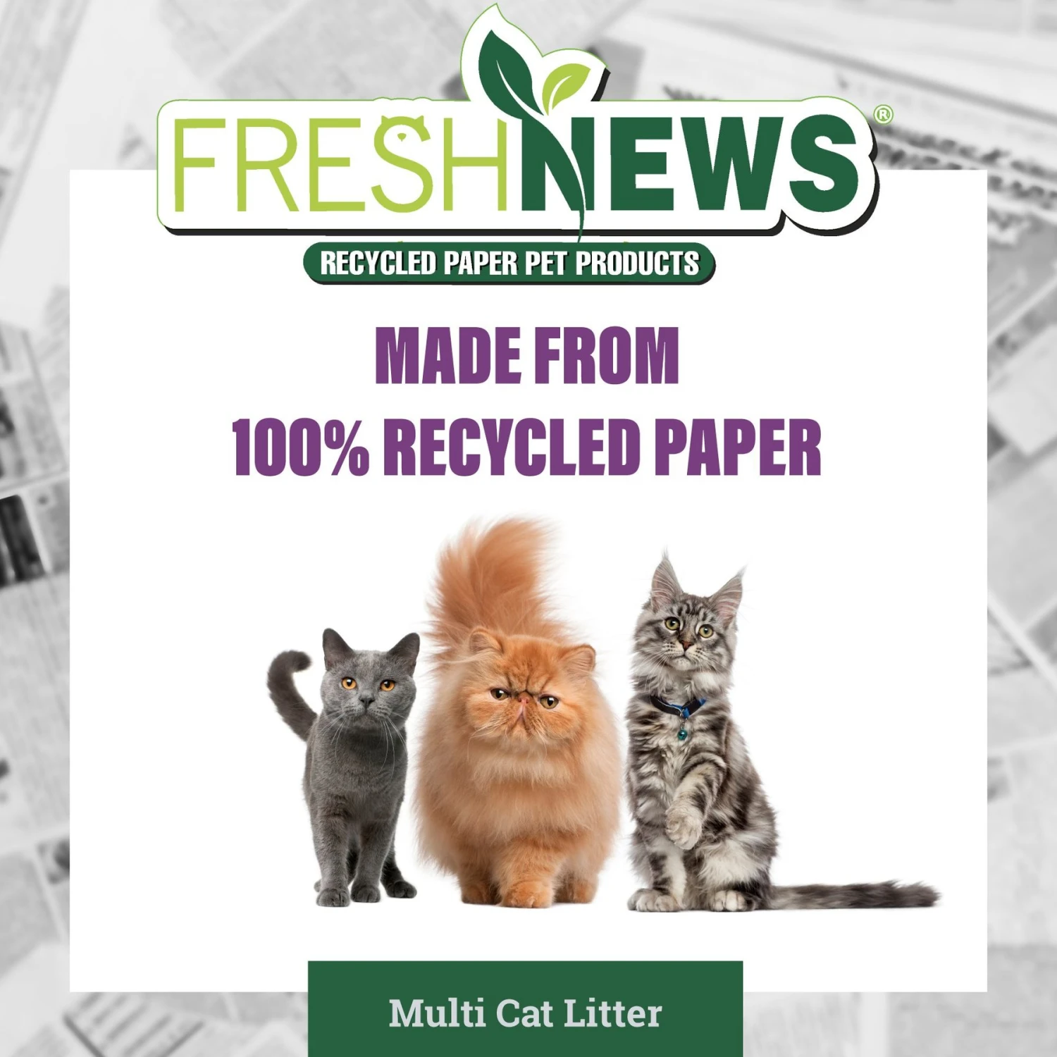 Fresh News Non-Clumping Scented Paper Cat Litter, 25-lb Bag 7 Fresh News Non-Clumping Scented Paper Cat Litter, 25-lb Bag - Image 5