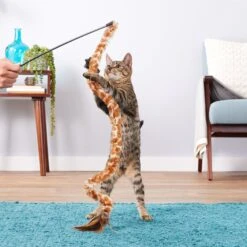 KONG Swizzle Bird Cat Teaser, Color Varies -Cat Pet Supplies 54924 PT4. AC SS1800 V1545170365