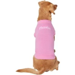 Frisco Personalized Basic Dog & Cat T-Shirt 11 Frisco Personalized Basic Dog & Cat T-Shirt -Cat Pet Supplies 557438 PT2. AC SS1800 V1662738086