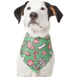 Frisco Gingerbread Treats Personalized Dog & Cat Bandana 17 Frisco Gingerbread Treats Personalized Dog & Cat Bandana -Cat Pet Supplies 564502 PT6. AC SS1800 V1660405305