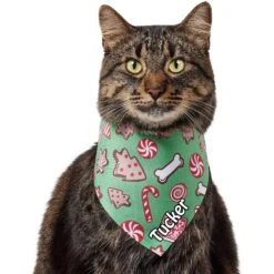 Frisco Gingerbread Treats Personalized Dog & Cat Bandana 18 Frisco Gingerbread Treats Personalized Dog & Cat Bandana -Cat Pet Supplies 564502 PT7. AC SS1800 V1660251028