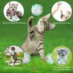 SunGrow Entertainment Clear Mylar Indoor Cat & Ferret Crinkle Balls & Chase Toy, 2-in, 12 Count -Cat Pet Supplies 575422 PT3. AC SS1800 V1675971614