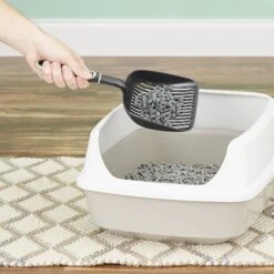 Fresh News Unscented Non-Clumping Paper Cat Litter 12 Fresh News Unscented Non-Clumping Paper Cat Litter -Cat Pet Supplies 61630 PT3. AC SS1800 V1525471133