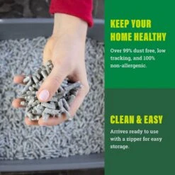 Fresh News Unscented Non-Clumping Paper Cat Litter 13 Fresh News Unscented Non-Clumping Paper Cat Litter -Cat Pet Supplies 61630 PT6. AC SS1800 V1667519484