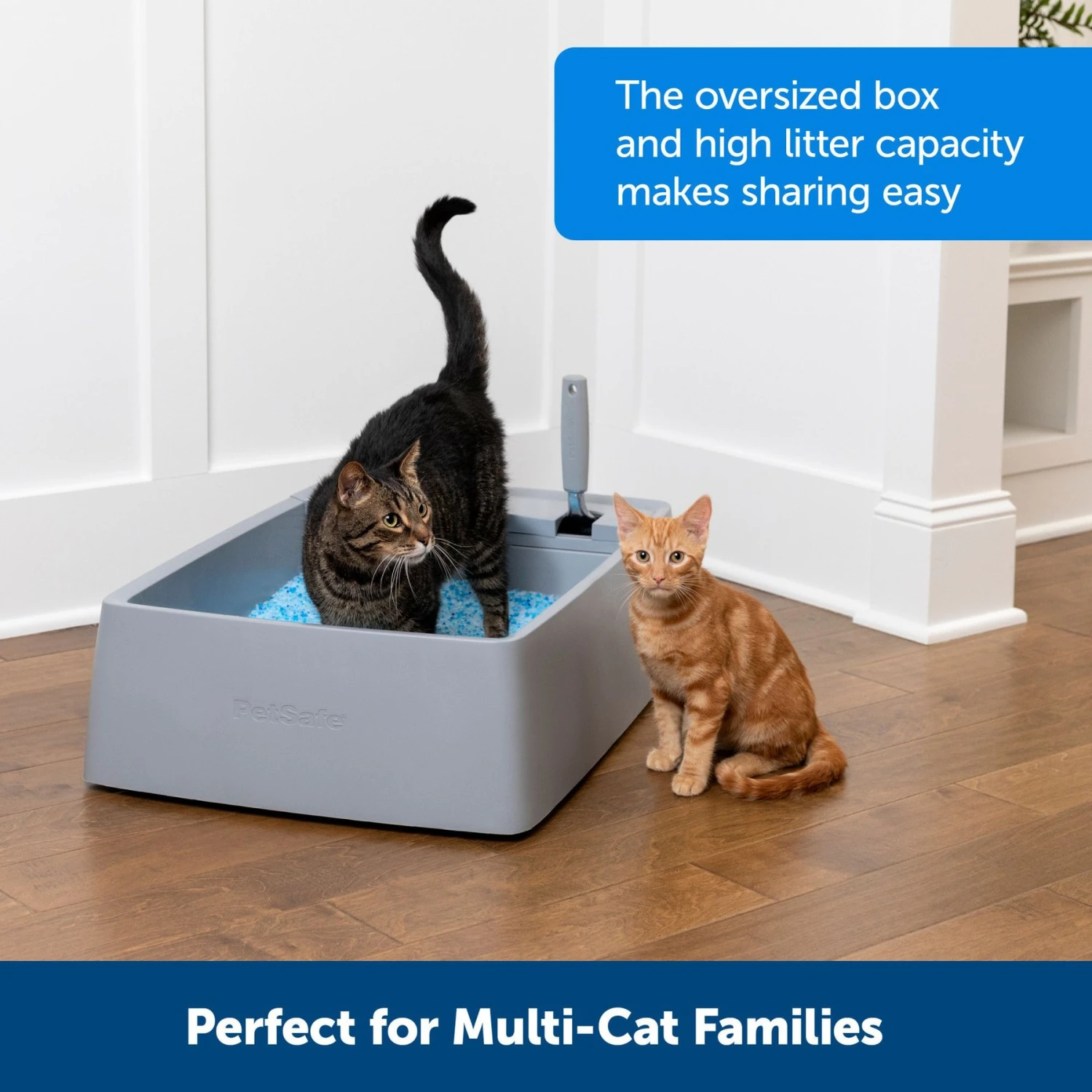 PetSafe Multi-Cat Litter Box 4 PetSafe Multi-Cat Litter Box - Image 2