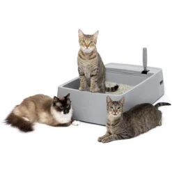 PetSafe Multi-Cat Litter Box 17 PetSafe Multi-Cat Litter Box -Cat Pet Supplies 617526 PT6. AC SS1800 V1660255555