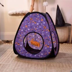 Goody Box Halloween Cat Toys & Treats 14 Goody Box Halloween Cat Toys & Treats -Cat Pet Supplies 631182 PT4. AC SS1800 V1690839980