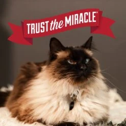 Nature's Miracle Intense Defense Scented Clumping Clay Cat Litter -Cat Pet Supplies 633374 PT6. AC SS1800 V1667947582