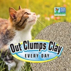 SmartCat All Natural Lightweight Corn & Wheat Clumping Cat Litter -Cat Pet Supplies 635446 PT3. AC SS1800 V1666839122