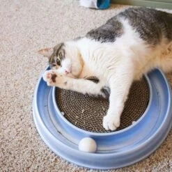 Bergan Scratcher Replacement Pads, 2 Count 12 Bergan Scratcher Replacement Pads, 2 Count -Cat Pet Supplies 64228 PT4. AC SS1800 V1673648563