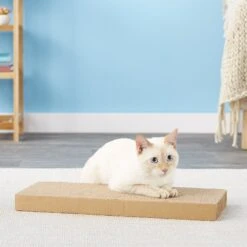 Scratch Lounge Reversible Replacement Scratch Floor Cat Toy -Cat Pet Supplies 64395 PT5. AC SS1800 V1525720008