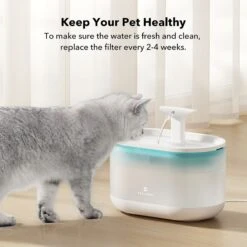 Petlibro PLWF002 Replacement Filters, 8 Count -Cat Pet Supplies 661174 PT3. AC SS1800 V1665173864