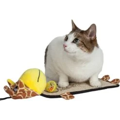 Pet Life Paw-Pleasant Eco-Natural Sisal & Jute Hanging Carpet Kitty Cat Scratcher & Toy 7 Pet Life Paw-Pleasant Eco-Natural Sisal & Jute Hanging Carpet Kitty Cat Scratcher & Toy -Cat Pet Supplies 667622 PT2. AC SS1800 V1665608535