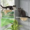 Coziwow Cat Window Perch With Suction Cups, Natural Wood 1 Coziwow Cat Window Perch With Suction Cups, Natural Wood -Cat Pet Supplies 668486 MAIN. AC SS1800 V1666733002