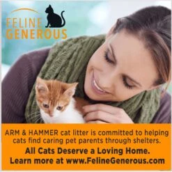 Arm & Hammer Litter Double Duty Scented Clumping Clay Cat Litter -Cat Pet Supplies 67033 PT8. AC SS1800 V1663797232